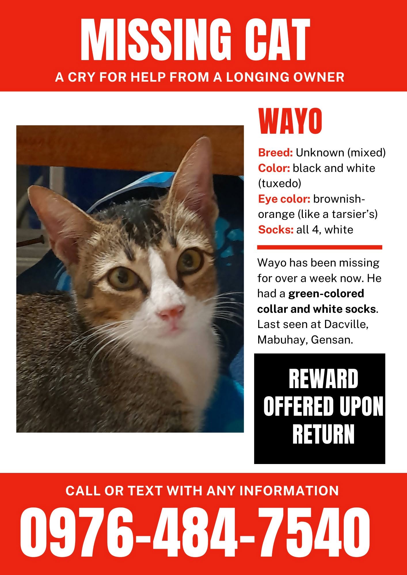 Wayo