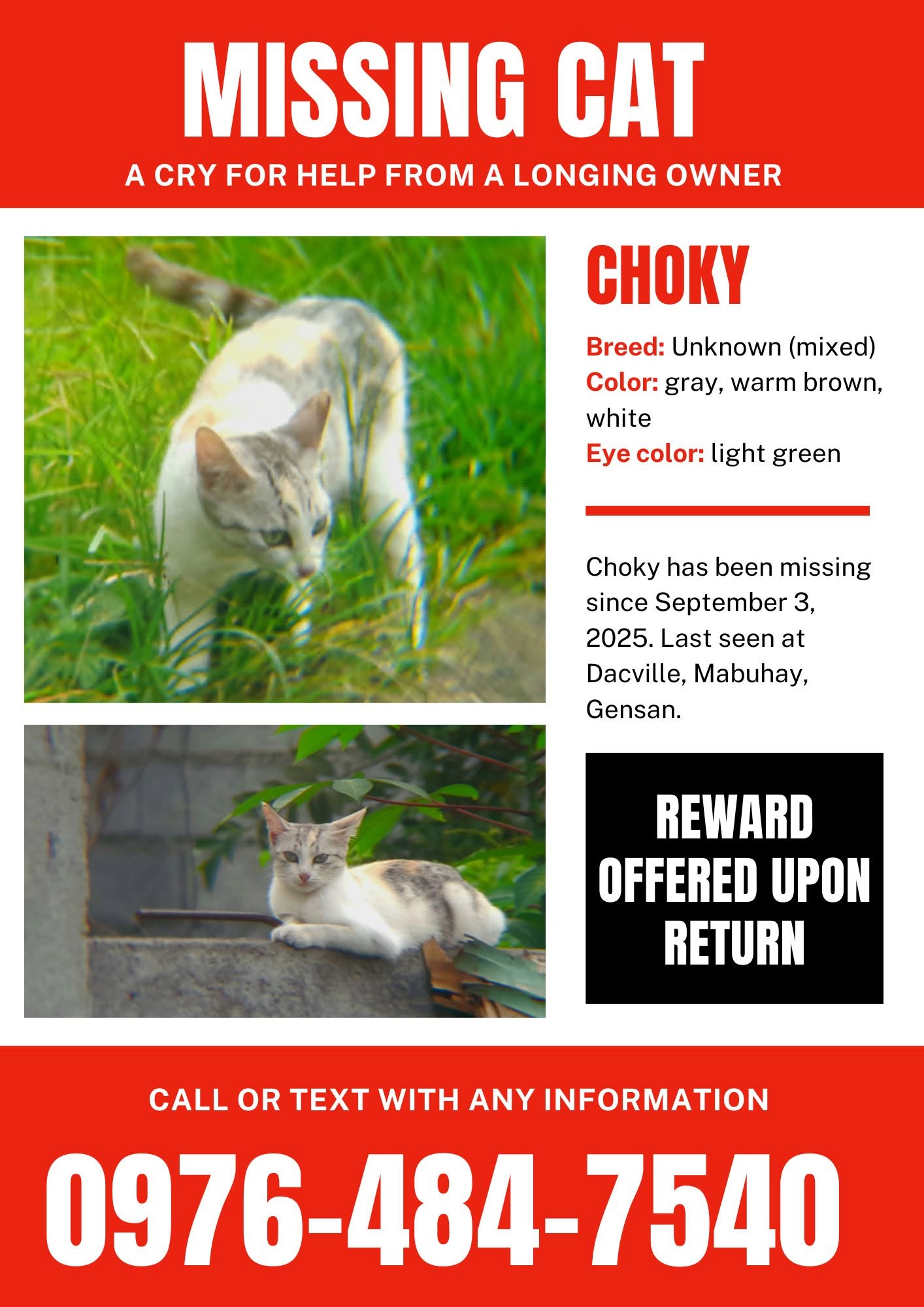 Choky