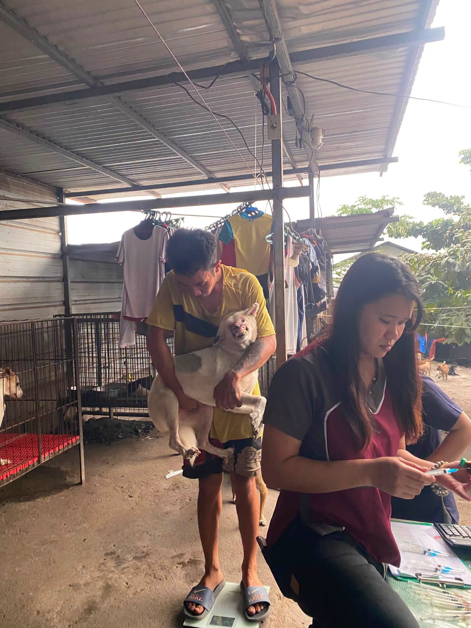 Medical Support donation use proof