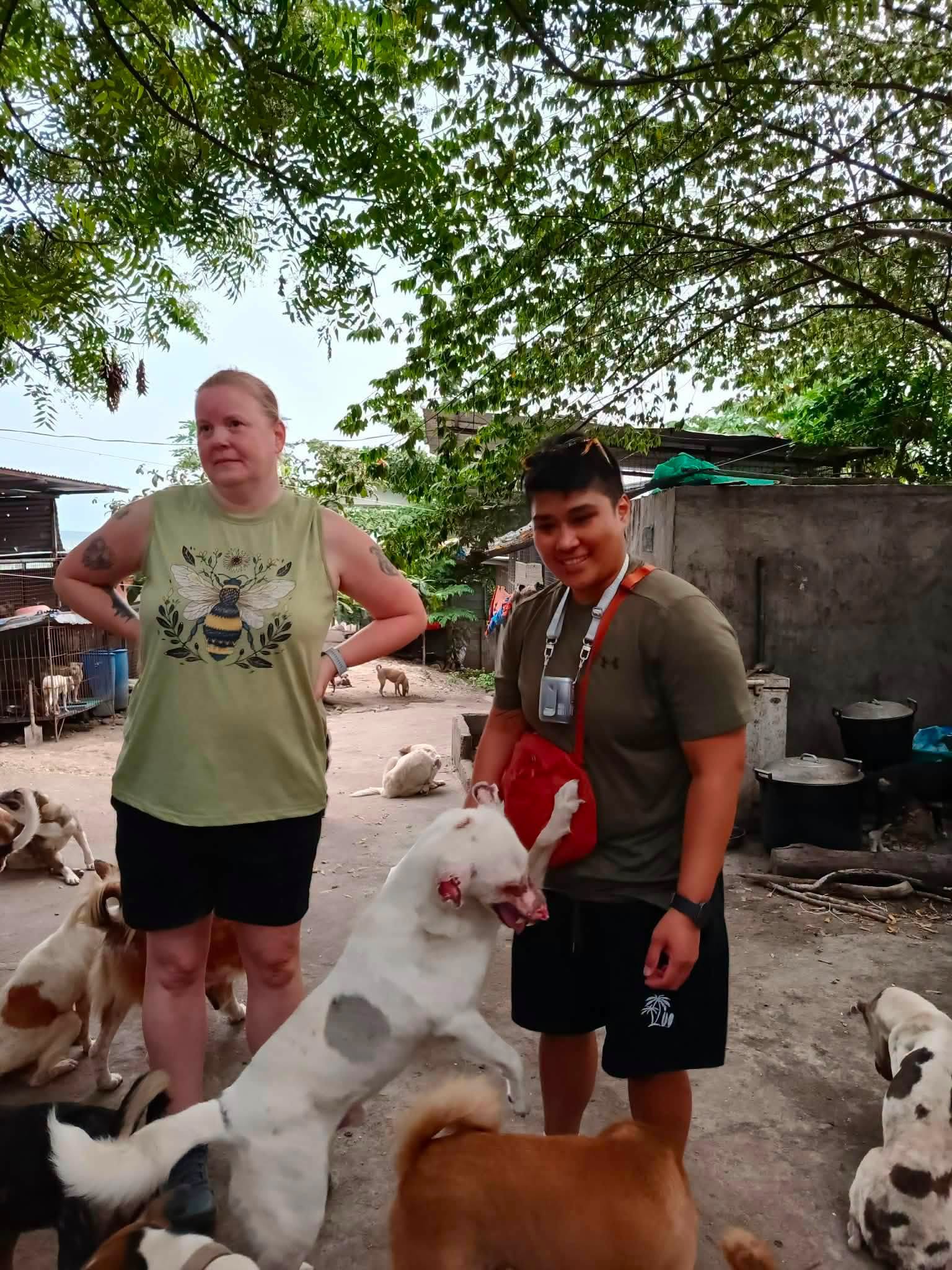 Volunteer activity documentation