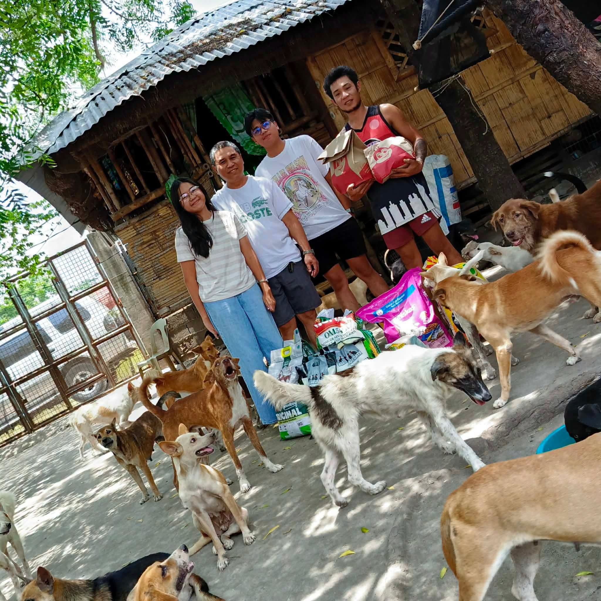 Volunteer activity documentation